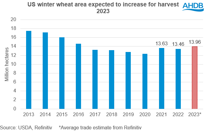 A bar chart showing US winter wheat plantings, including average trade expectations for 2023